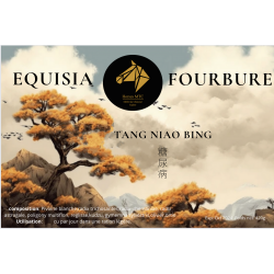 EQUISIA FOURBURE - TROUBLES...