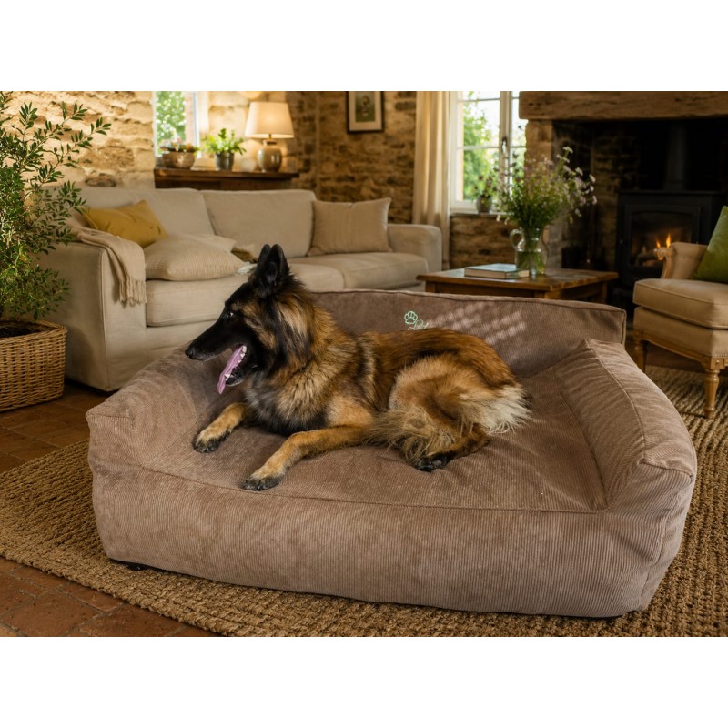 Lit pour chien