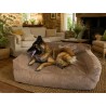 Lit pour chien