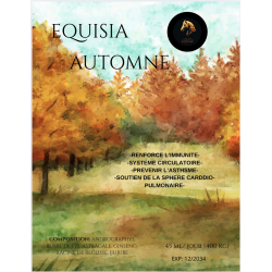 EQUISIA AUTOMNE